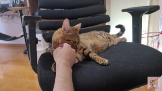 Furry pussy loves to bite you .... It grabs you and won't let go. - 1 image
