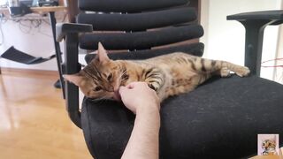 Furry pussy loves to bite you .... It grabs you and won't let go. - 3 image