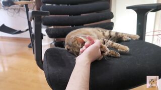Furry pussy loves to bite you .... It grabs you and won't let go. - 4 image