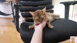 Furry pussy loves to bite you .... It grabs you and won't let go. - 5 image