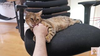 Furry pussy loves to bite you .... It grabs you and won't let go. - 6 image