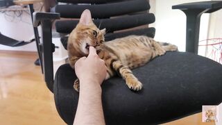 Furry pussy loves to bite you .... It grabs you and won't let go. - 7 image