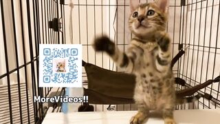 Playing with a devilishly cute furry pussy ... . She's power full. - 10 image