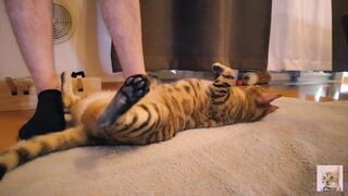 Playing with a devilishly cute furry pussy ... . She's power full. - 2 image