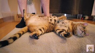 Playing with a devilishly cute furry pussy ... . She's power full. - 3 image