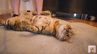 Playing with a devilishly cute furry pussy ... . She's power full. - 4 image