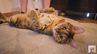 Playing with a devilishly cute furry pussy ... . She's power full. - 5 image