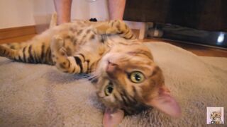 Playing with a devilishly cute furry pussy ... . She's power full. - 6 image