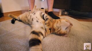 Playing with a devilishly cute furry pussy ... . She's power full. - 7 image