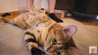 Playing with a devilishly cute furry pussy ... . She's power full. - 8 image