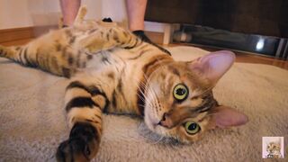 Playing with a devilishly cute furry pussy ... . She's power full.