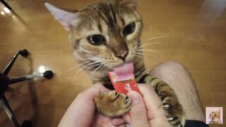 Furry pussy flailing violently on you .... Video for everyone to see - 2 image