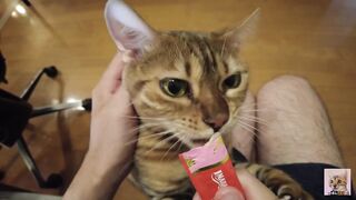 Furry pussy flailing violently on you .... Video for everyone to see - 3 image