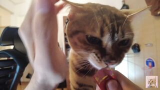 Furry pussy flailing violently on you .... Video for everyone to see - 4 image