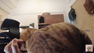 Furry pussy flailing violently on you .... Video for everyone to see - 8 image