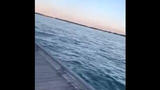 Jumping into Lake Ontario - 1 image