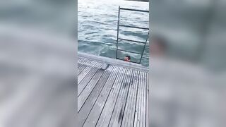 Jumping into Lake Ontario - 7 image