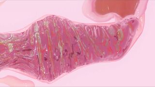 Infestation: Theatrical release