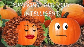 HALLOWEEN BLOW JOB IN THE PUMPKIN PATCH - 2 image