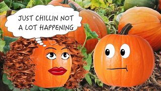 HALLOWEEN BLOW JOB IN THE PUMPKIN PATCH - 4 image