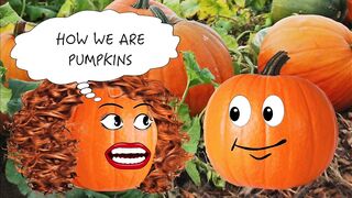 HALLOWEEN BLOW JOB IN THE PUMPKIN PATCH - 5 image