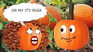 HALLOWEEN BLOW JOB IN THE PUMPKIN PATCH