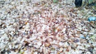 The god of sex put out the fire! - 2 image