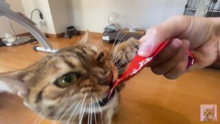 Rewarding the furry pussy .... Good job at staying at home .... - 1 image