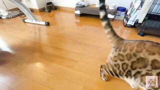 Rewarding the furry pussy .... Good job at staying at home .... - 10 image