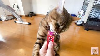 Rewarding the furry pussy .... Good job at staying at home .... - 2 image