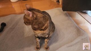 Pussy gets excited and attacks you .... It hurts, but it's fun ... . - 10 image