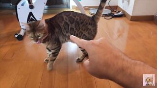 I got mad at you for rushing the furry pussy! - 10 image