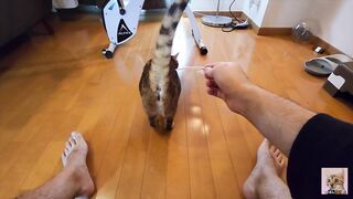 I got mad at you for rushing the furry pussy! - 2 image