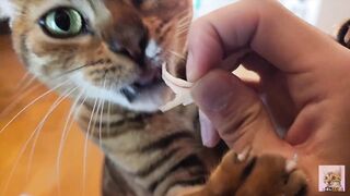 I got mad at you for rushing the furry pussy! - 8 image