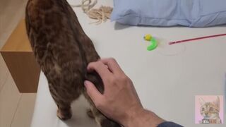 Playing with pussy on the bed ... . The best time - 1 image