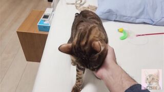 Playing with pussy on the bed ... . The best time - 10 image