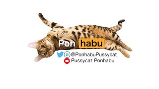 Playing with pussy on the bed ... . The best time - 2 image