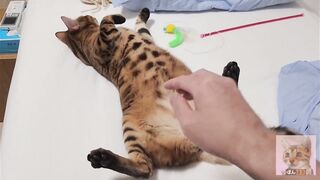 Playing with pussy on the bed ... . The best time - 3 image