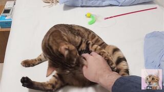 Playing with pussy on the bed ... . The best time - 4 image