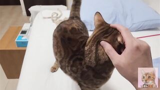 Playing with pussy on the bed ... . The best time - 5 image