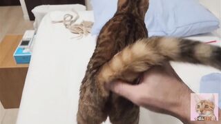 Playing with pussy on the bed ... . The best time