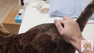 Playing with pussy on the bed ... . The best time - 7 image