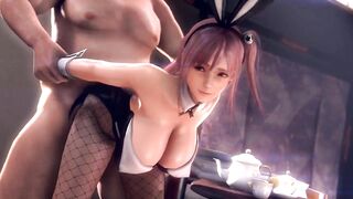 3D Compilation: Doa Honoka Ayane Mai Shiranui BunnyGirl Dess Uncensored Hentai Dead Or Alive - 3 image