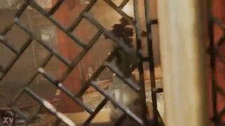 Rapunzel Rough Sex In Missionary POV!!! - 8 image