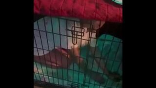 Public Japanese slut locked up in cage my pet - 1 image