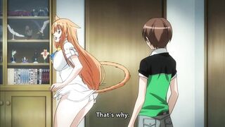 C@t Planet Cuties - Fanservice compilation - 2 image