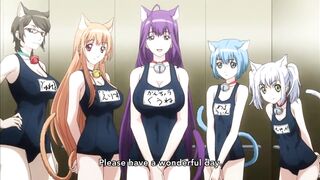 C@t Planet Cuties - Fanservice compilation - 3 image