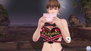 Dead or Alive Xtreme Venus Vacation Hitomi Valentine's Day Pose Cards Fanservice Appreciation