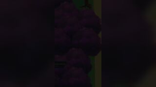 Kame Paradise 3 - Kale and Caulifla sex scene (Uncensored) - 3 image