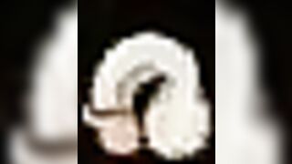 FUCKERMAN - Piratezons By MissKitty2K - 4 image